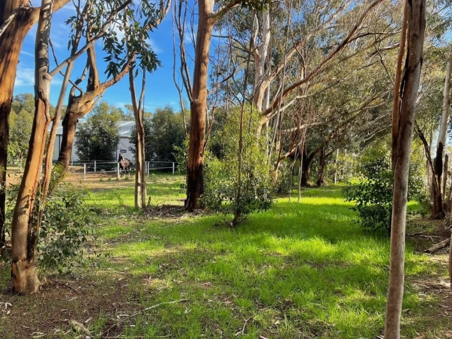 3 Bedroom Property for Sale in Firlands Western Cape